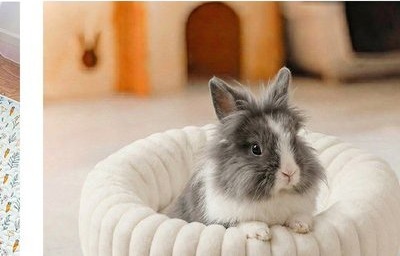 Grey rabbit resting in a round cream-colored bed