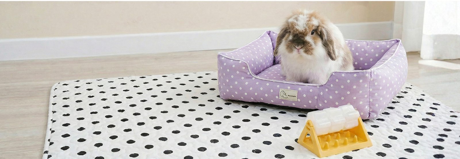 Adorable lop-eared rabbit sitting in a purple polka-dot bed on a patterned mat
